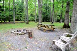 Cabin 1 Living Space