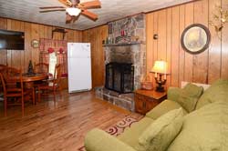 Cabin 1 Living Space